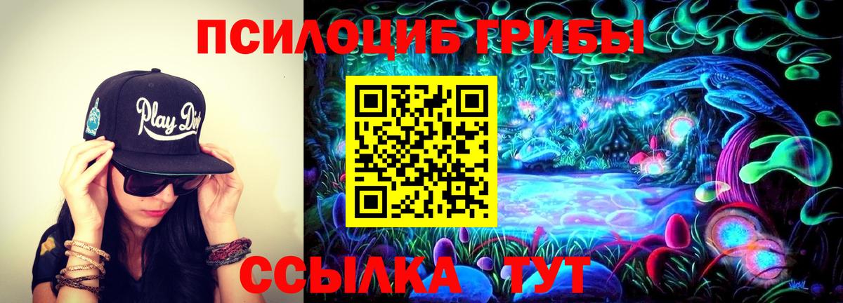 Псилоцибиновые грибы Magic Shrooms Туапсе